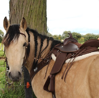 SILLA NIÑO WESTERN IMPERMEABLE MESACE