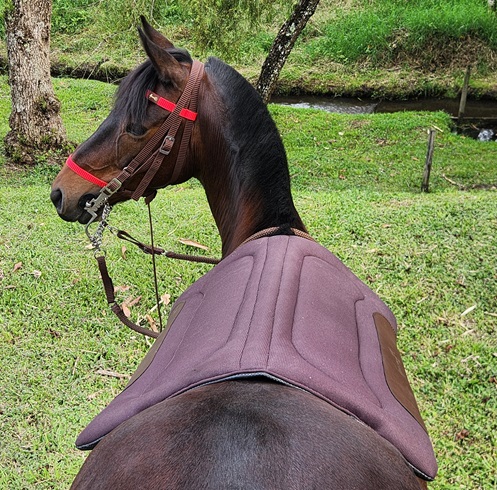 ALFOMBRA MULTIPROPÓSITO IMPERMEABLE MESACE