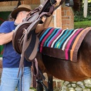 ALFOMBRA DE NAVAJO DE LUJO CABALAGATA MESACE