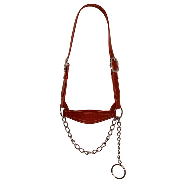 JAQUIMON TORO CUERO MESACE - personalizable