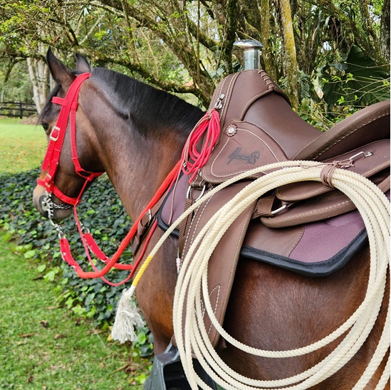 SILLA CAMELLADORA IMPERM VAQUERIA MESACE