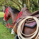 SILLA CAMELLADORA IMPERM VAQUERIA MESACE