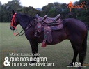SILLA DOBLE IMPERM CABALGATA MESACE