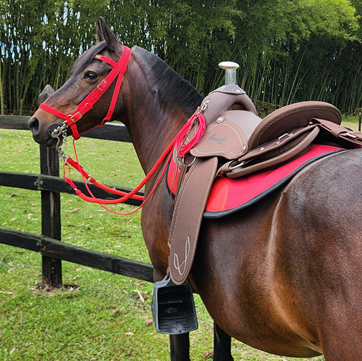 SILLA SABANERA IMPERM VAQUERIA MESACE