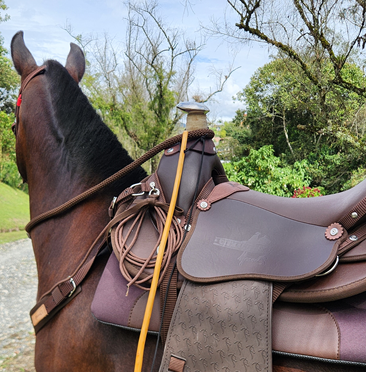 SILLA CIENAGUERA IMPERM VAQUERIA MESACE