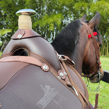 SILLA CIENAGUERA IMPERM VAQUERIA MESACE