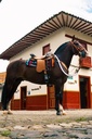 SILLA MONARCA IMPERM CABALGATA MESACE