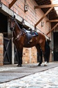 SILLA PONDEROSA CABALGATA MESACE