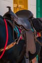 SILLA PARA MULE CABALGATA MESACE