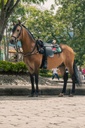SILLA INDIANA CABALGATA MESACE