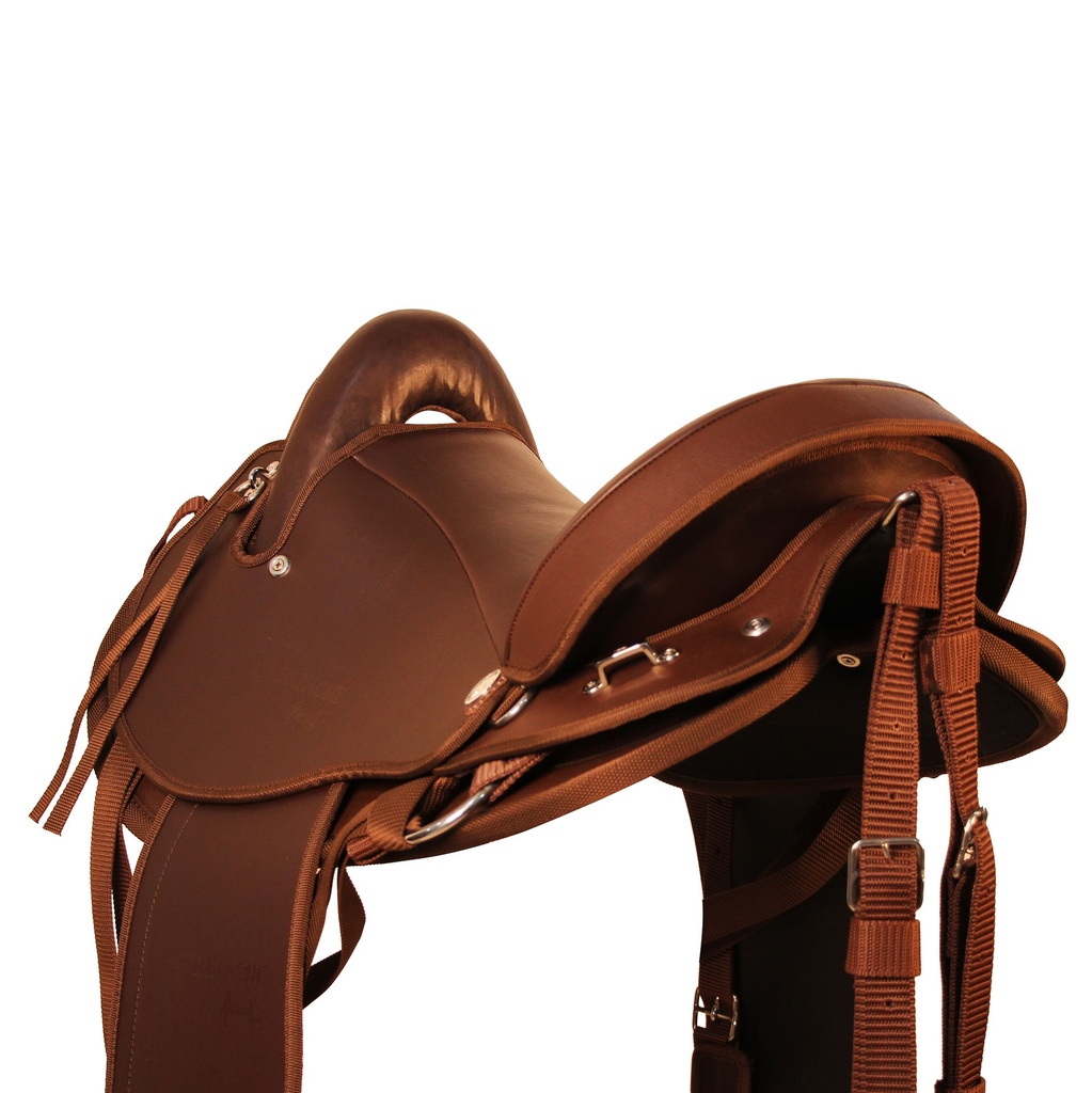 TEREQUE APALACHE CABALGATA MESACE