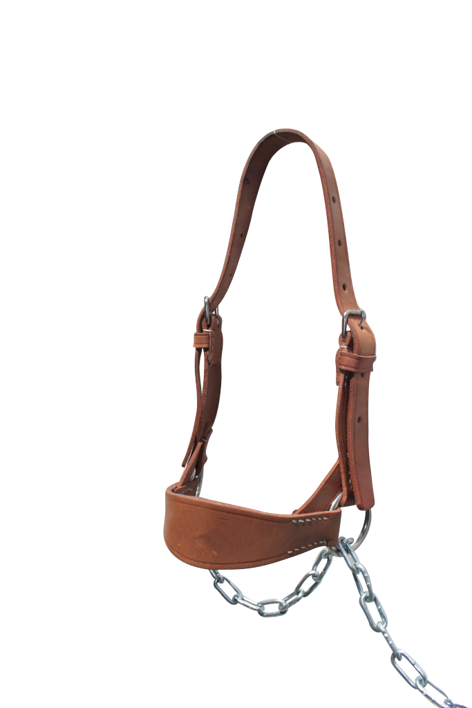 JAQUIMON TERNERO CUERO MESACE