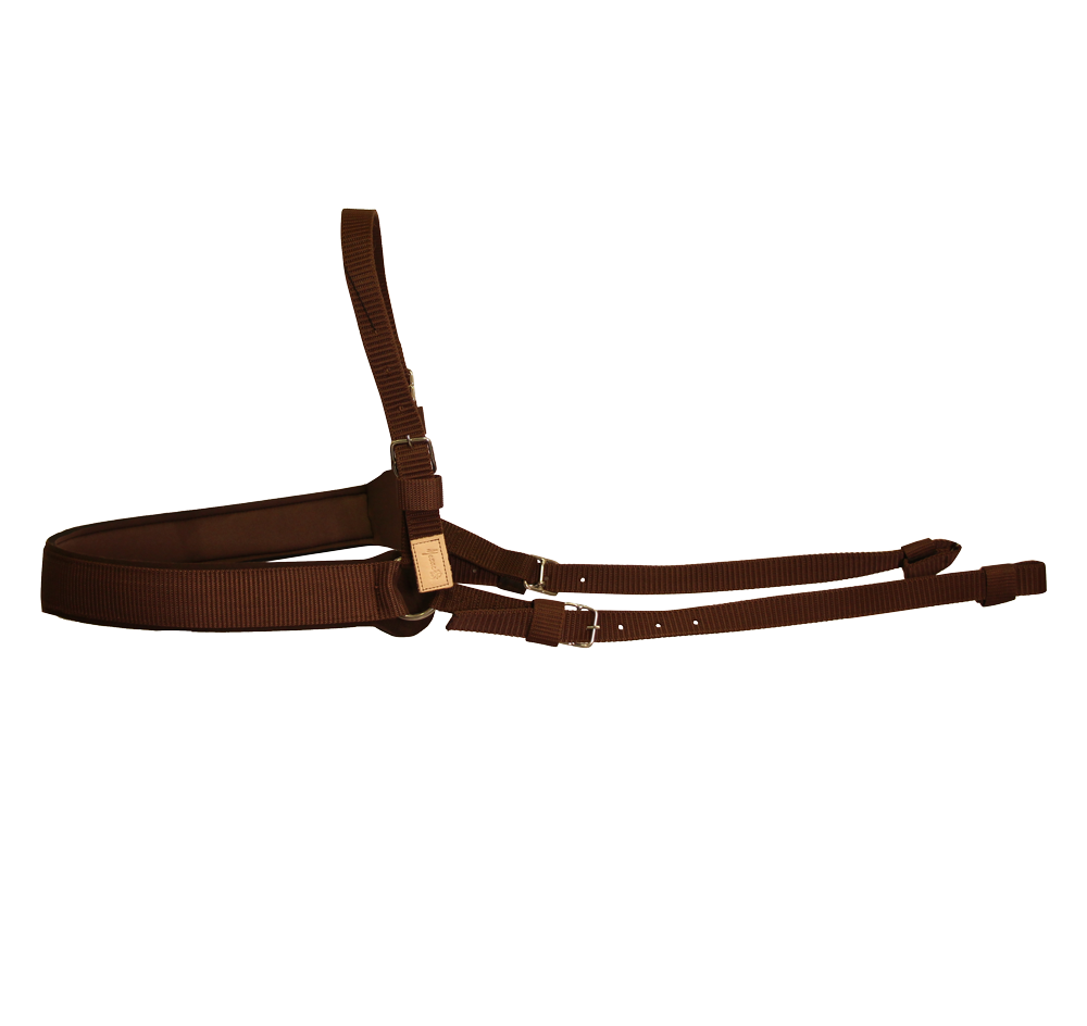 TIROGRUPA EN REATA TRABAJO DOS ARGOLLAS MESACE