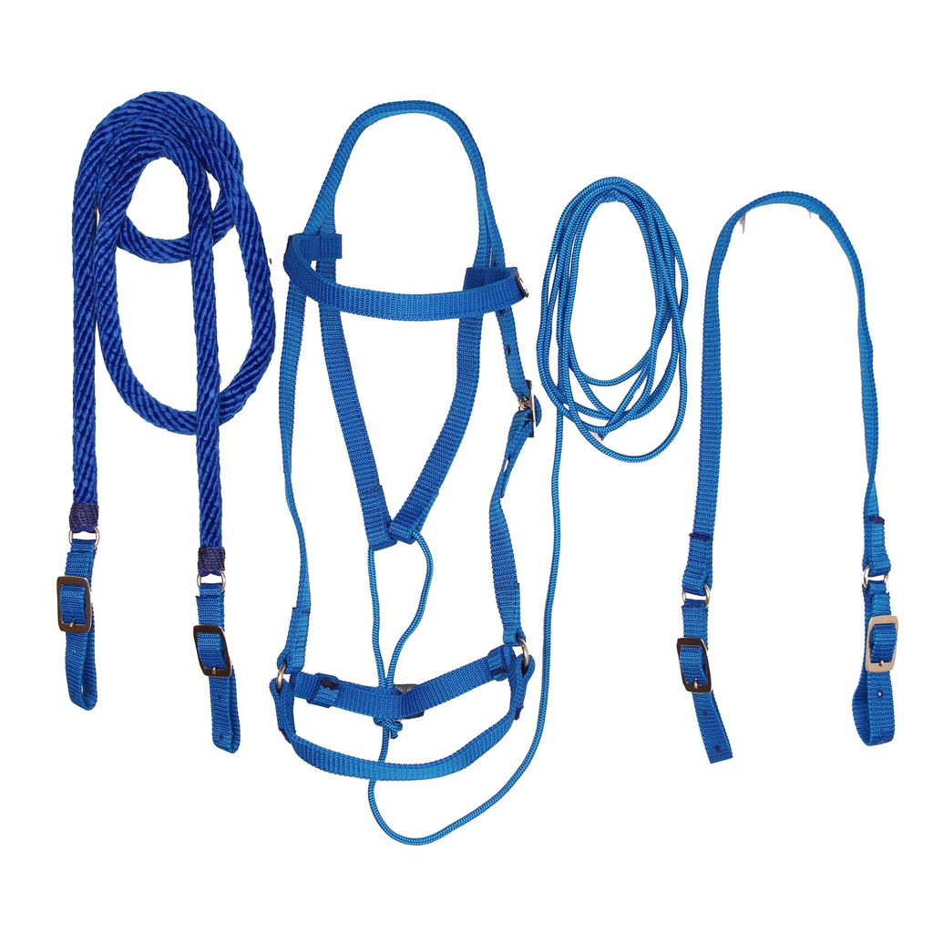 APERO CABEZA DE TRABAJO DE REATA MESACE