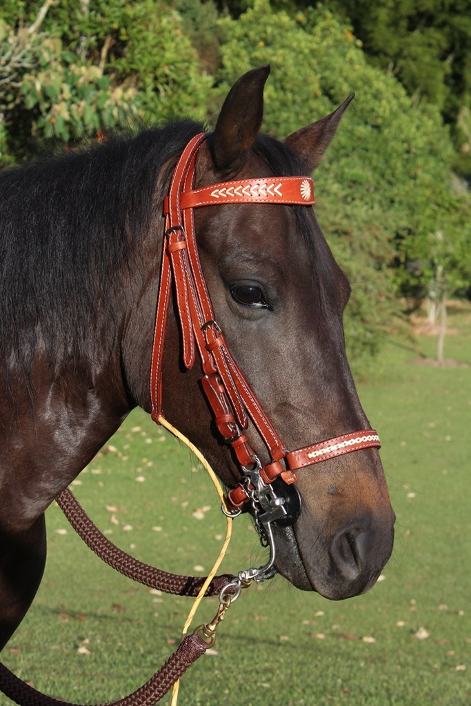 APERO CABEZA EN CUERO CLASICO TRENZADO (copia)