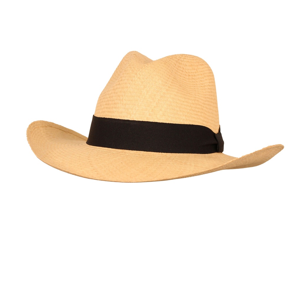 SOMBRERO AGUADEÑO TIPO BORSALINO 