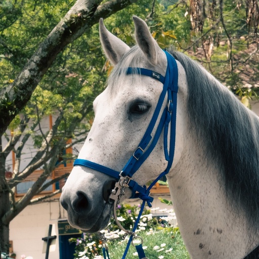 APERO CABEZA NYLON LUJO MESACE
