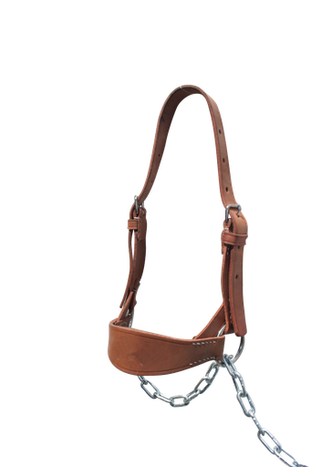 JAQUIMON TERNERO CUERO MESACE - personalizable