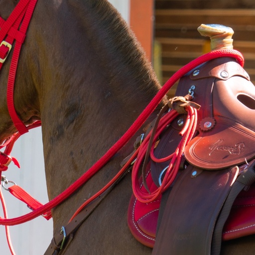 RIENDA DELGADA CON CORREA REATA