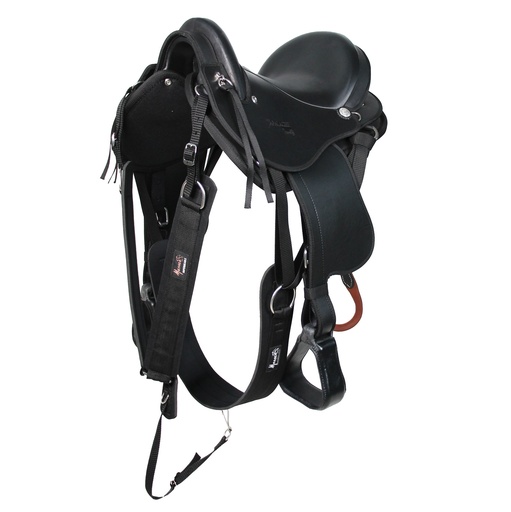TEREQUE APALACHE CABALGATA MESACE