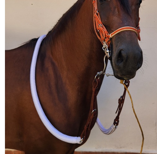 RIENDA GRUESA CALIBRE 19 CON CORREAS MESACE