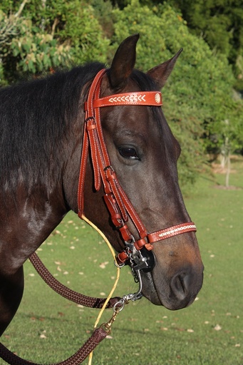 APERO CABEZA EN CUERO CON SOL Y TEJIDOS SIN RIENDA
