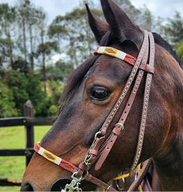 APERO CABEZA EN CUERO TEJIDO ARGENTINO SIN RIENDA