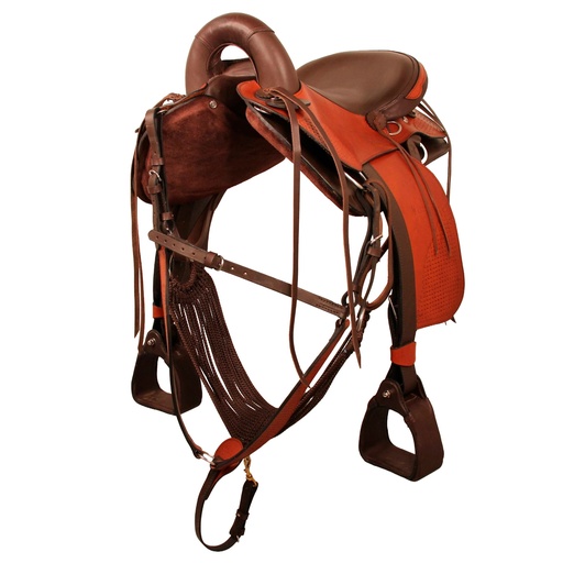 TEREQUE TEREQUE TORNADO CUERO 